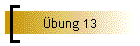 bung 13